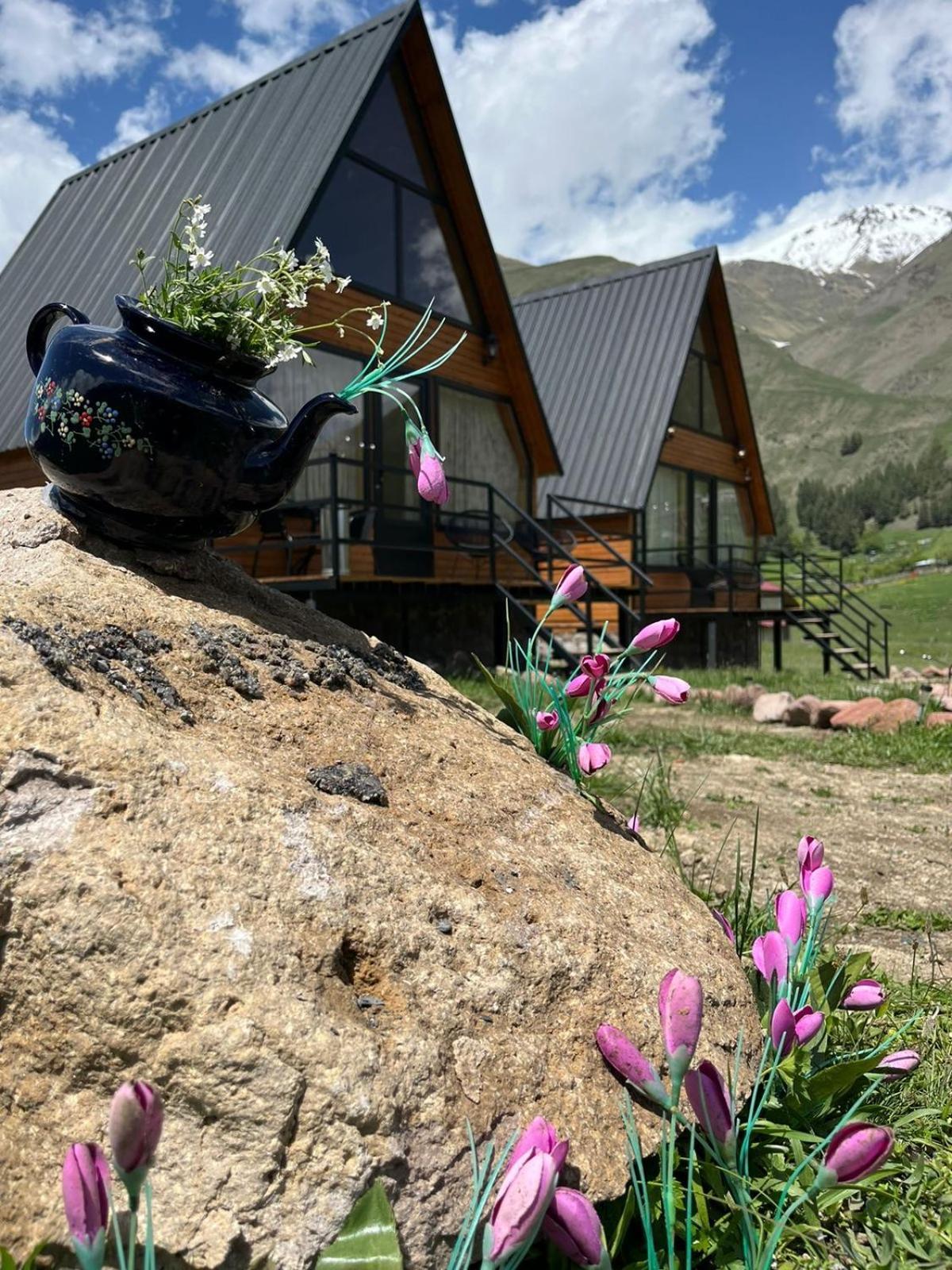 Mtisguli Cottages Kazbegi Kültér fotó
